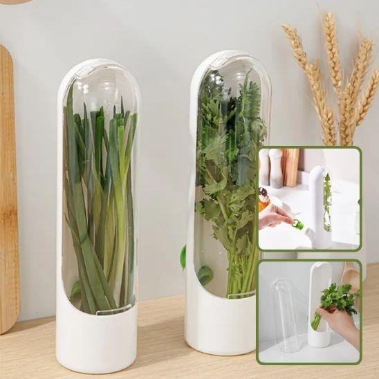 Conservateur d'Herbes Aromatiques | HerbSaver™ - LE SHOP DU RANGEMENT 