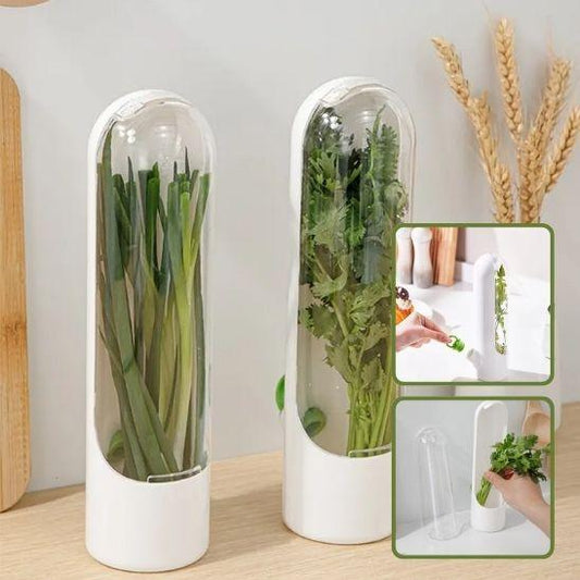 Conservateur d'Herbes Aromatiques | HerbSaver™ - LE SHOP DU RANGEMENT 
