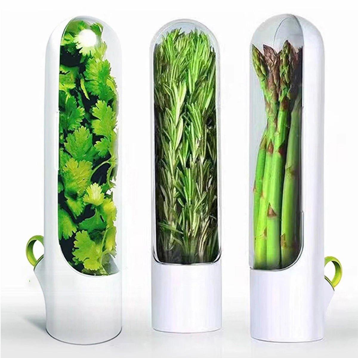 Conservateur d'Herbes Aromatiques | HerbSaver™ - LE SHOP DU RANGEMENT 
